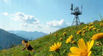 Einfluss von Wetterradar auf die Insektenforschung (2/10)
