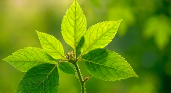 Perspektiven zu lebenden Materialien sind vielversprechend