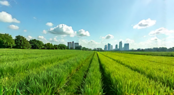 Politische Implikationen des biologischen Pflanzenschutzes (8/10)