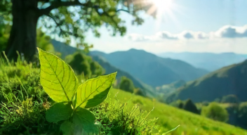 Psychologische Perspektiven auf das Umweltbewusstsein (8/10)