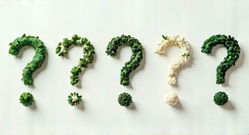 Die 5 meistgestellten Fragen (FAQ) zu biologischem Altern