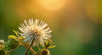 Die Rolle der Kunst in der Aufklärung über Allergien (10/10)